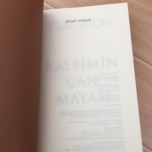  Beden İclal aydın roman