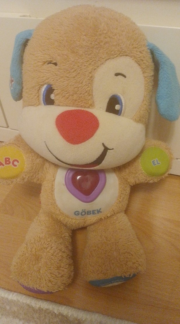 Renkli Eğitici Peluş Köpek Oyuncak - Görsel 2