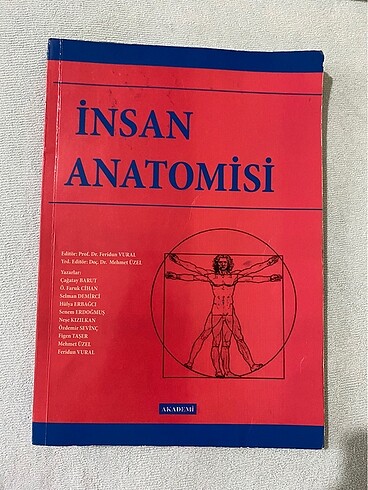İnsan Anatomisi
