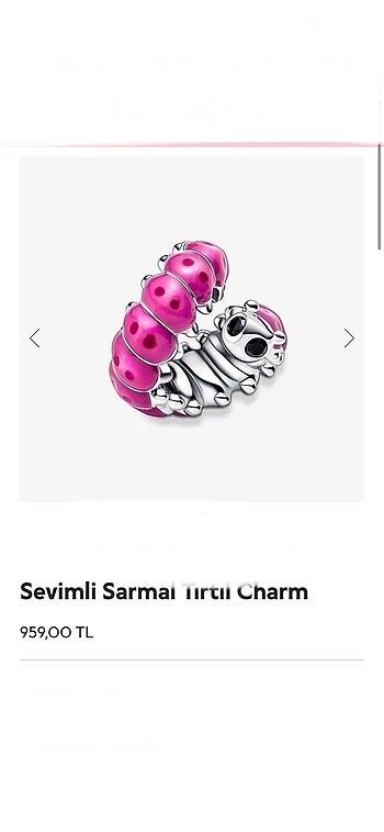 Tırtıl Charm