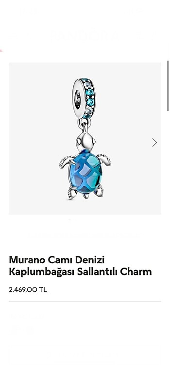 Deniz kaplumbağası charm