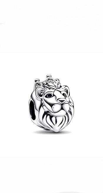 Aslan kral charm