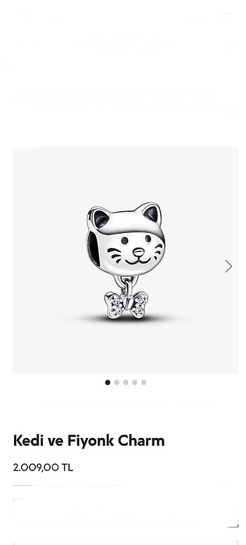 Fiyonk kedi charm