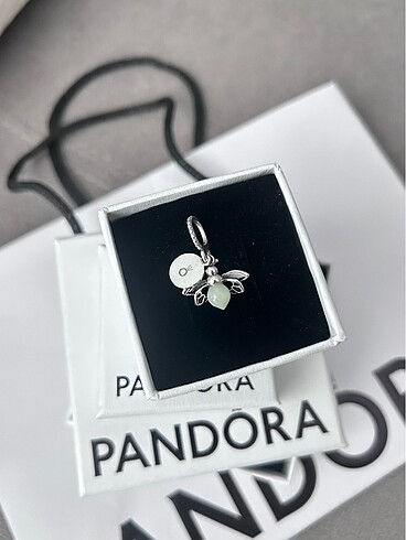 Pandora Ateş böceği charm