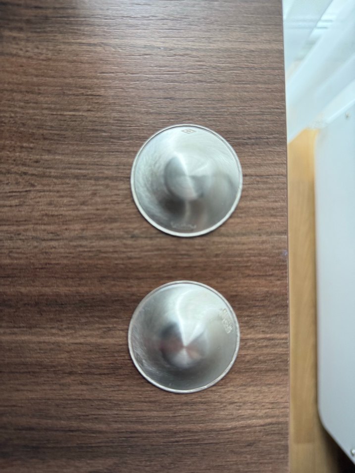 Gümüş göğüs kapağı - Görsel 3