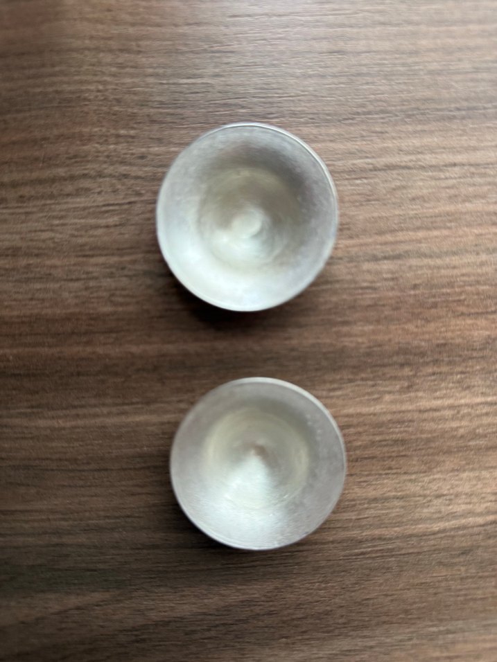 Gümüş göğüs kapağı - Görsel 2