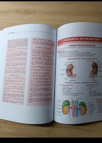 ProspekTUS Anatomi Kitabı - Görsel 3