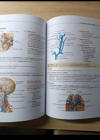 ProspekTUS Anatomi Kitabı - Görsel 2