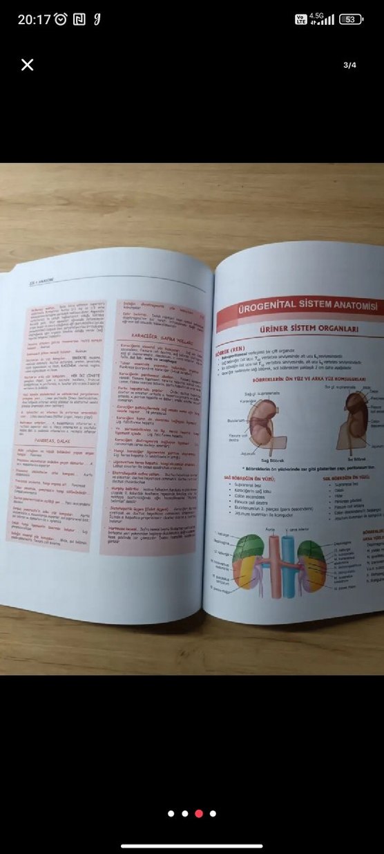 ProspekTUS Anatomi Kitabı - Görsel 3