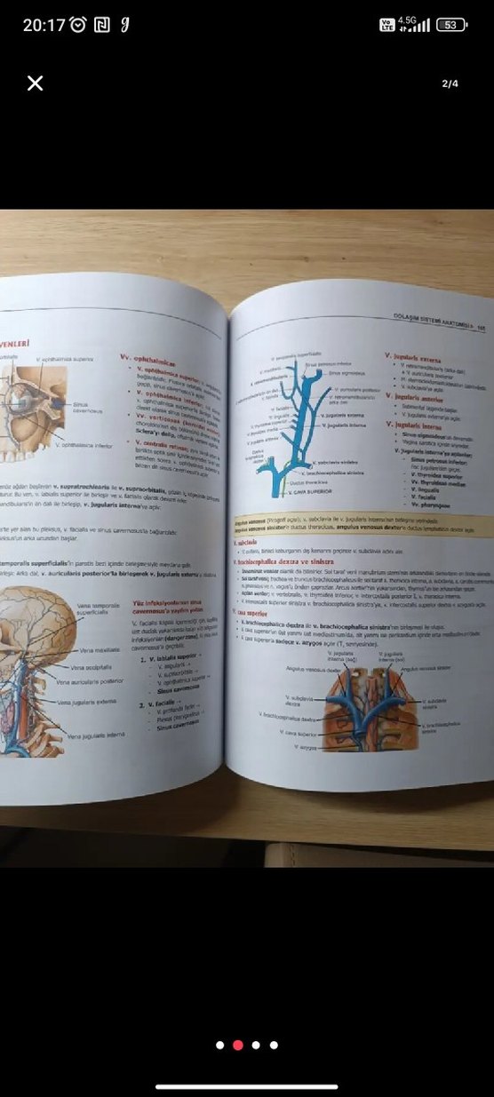 ProspekTUS Anatomi Kitabı - Görsel 2