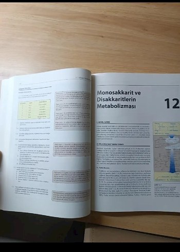 Lippincott Biyokimya Görsel Anlatımlı Çalışma Kitabı