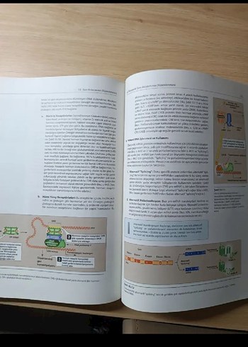 Beden Renk Lippincott Biyokimya Görsel Anlatımlı Çalışma Kitabı