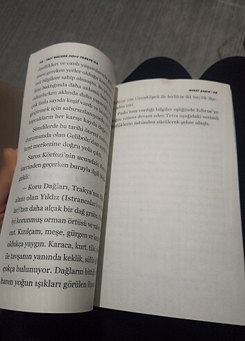  Beden Filozof meşe 