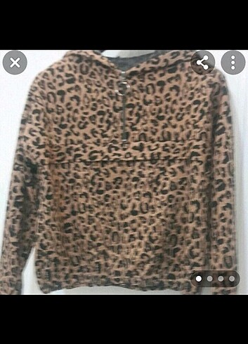 Leopar sivittişört