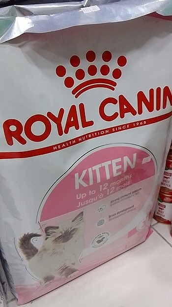 Royal canin kitten