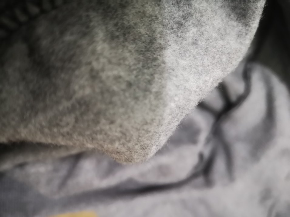 Gri Baskılı Erkek Sweatshirt - Görsel 3