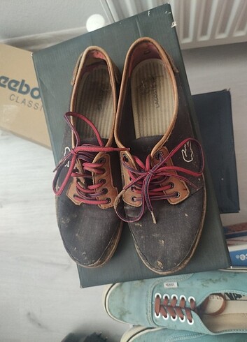 40 Beden Lacoste