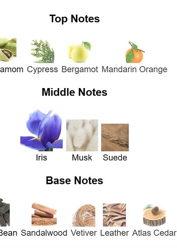 Narciso Rodriguez For Him Bleu Noir EDP 3 ml dekant - Görsel 3