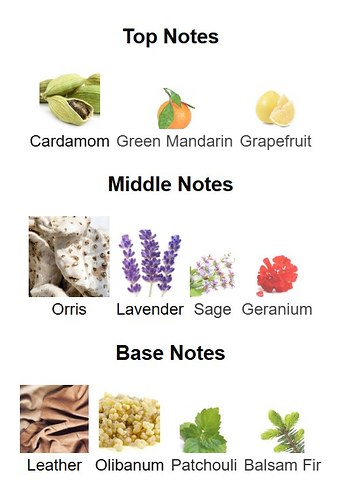 Ralph Lauren Ralph's Club Elixir EDP 3 ml dekant - Görsel 3