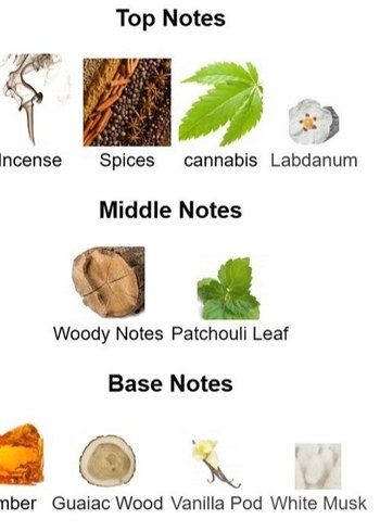 Mancera Hindu Kush EDP 120 ml - Görsel 5