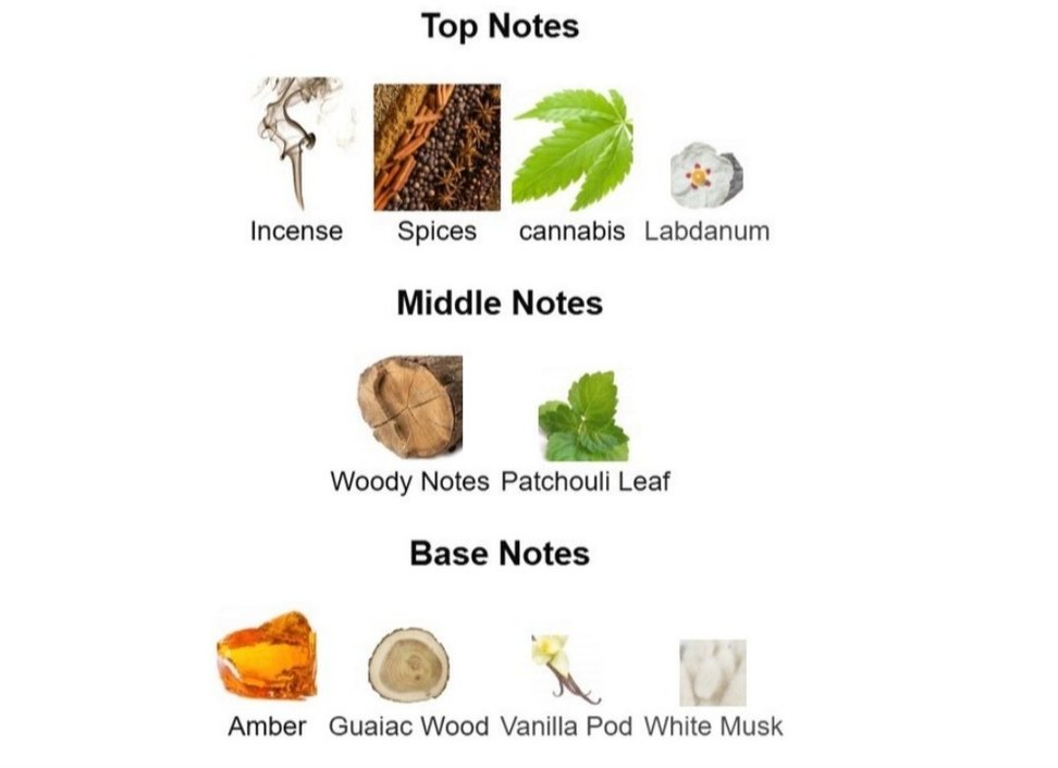 Mancera Hindu Kush EDP 120 ml - Görsel 5