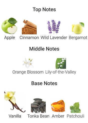 Afnan 9 PM EDP 100 ml Sıfır Kutusunda - Görsel 6