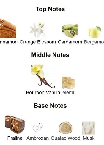 French Avenue Liquid Brun EDP 100 ml Sıfır Kutusunda - Görsel 7