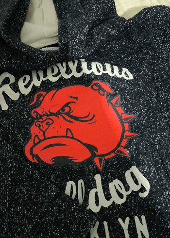 Erkek çocuk  Kapüşonlu Baskılı Sweatshirt - Görsel 6