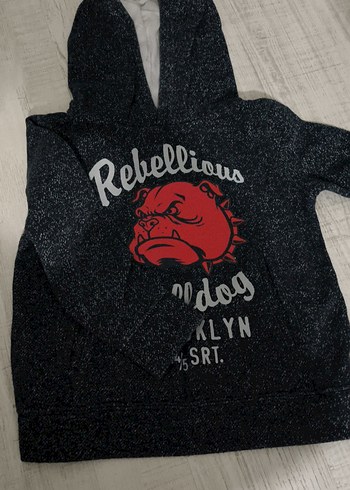 Erkek çocuk  Kapüşonlu Baskılı Sweatshirt - Görsel 2