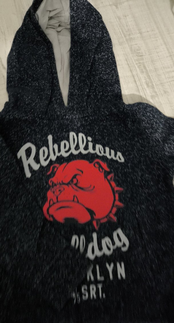 Erkek çocuk  Kapüşonlu Baskılı Sweatshirt - Görsel 3