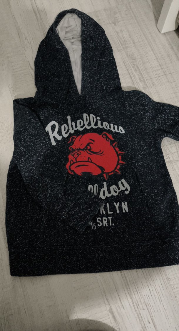 Erkek çocuk  Kapüşonlu Baskılı Sweatshirt - Görsel 2