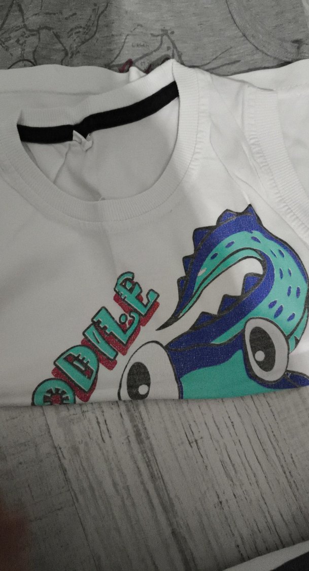 Gri Erkek Çocuk Broxen Baskılı Kolsuz Tişört - Görsel 3