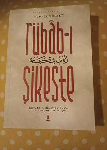 Rübâb-ı Şikeste - Tevfik Fikret