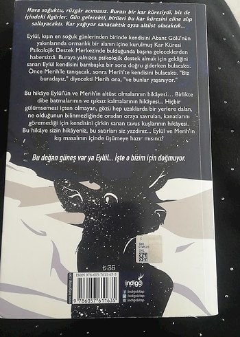 Kar Küresi - Beyza Alkoç - Görsel 2