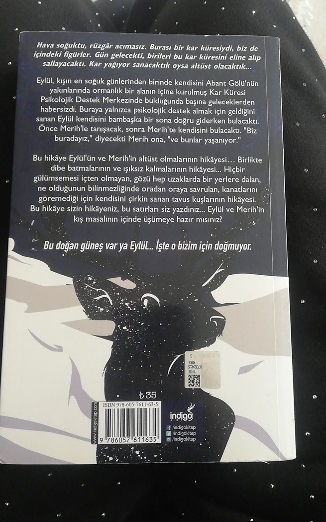 Kar Küresi - Beyza Alkoç - Görsel 2