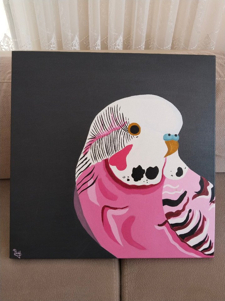 Pembe muhabbet kuşu Tablosu - Görsel 2