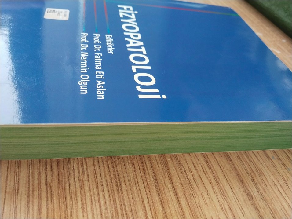 Fizyopatoloji Kitabı - Prof. Dr. Fatma Et Aslan - Görsel 5