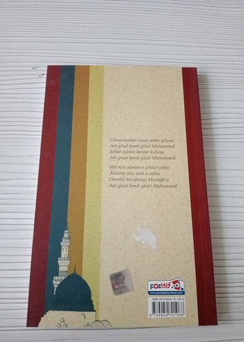 Adı Güzel Kendi Güzel Şiir Kitabı - Görsel 2