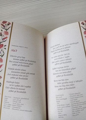 Adı Güzel Kendi Güzel Şiir Kitabı - Görsel 3