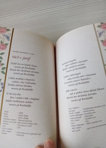 Adı Güzel Kendi Güzel Şiir Kitabı - Görsel 4