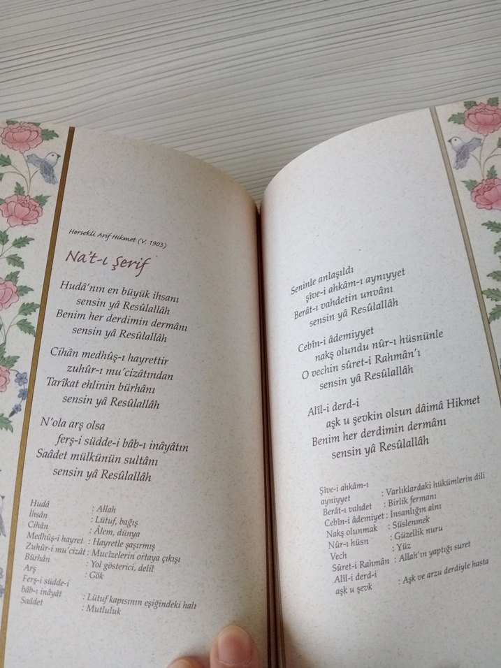 Adı Güzel Kendi Güzel Şiir Kitabı - Görsel 4