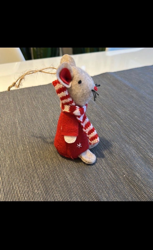 Flying Tiger Fare - Görsel 5