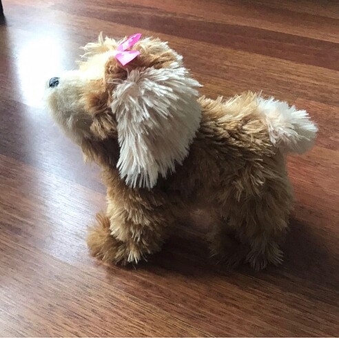 Beden Fur Real Yürüyen Köpek Minie Morkie Pet