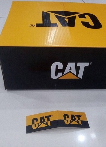 Cat Bot 