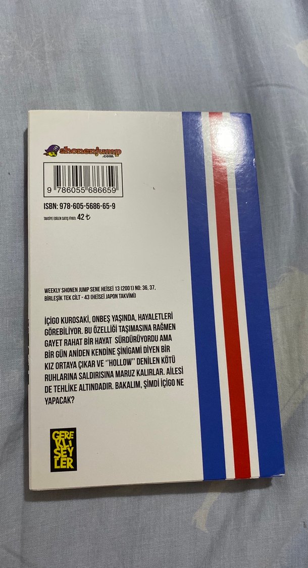 Bleach cilt 1 - Manga - Görsel 2