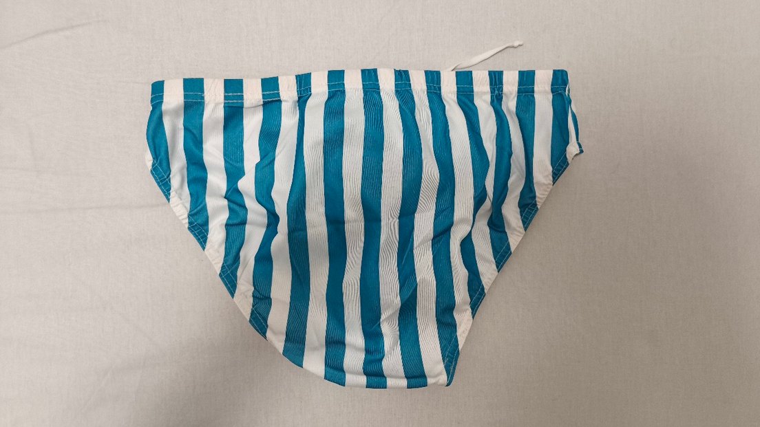 Mavi Beyaz Çizgili Erkek Mayo - Görsel 2