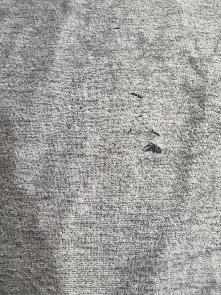 Gri, klasik desenli halı - Görsel 3