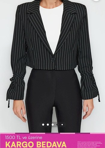 Kadın Siyah Çizgili Kısa Blazer Ceket - Görsel 2