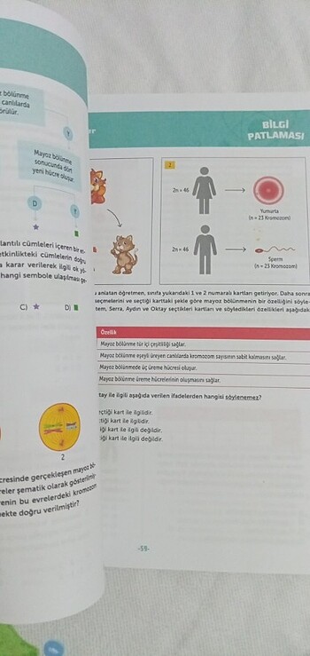 Test kitabı  - Görsel 2