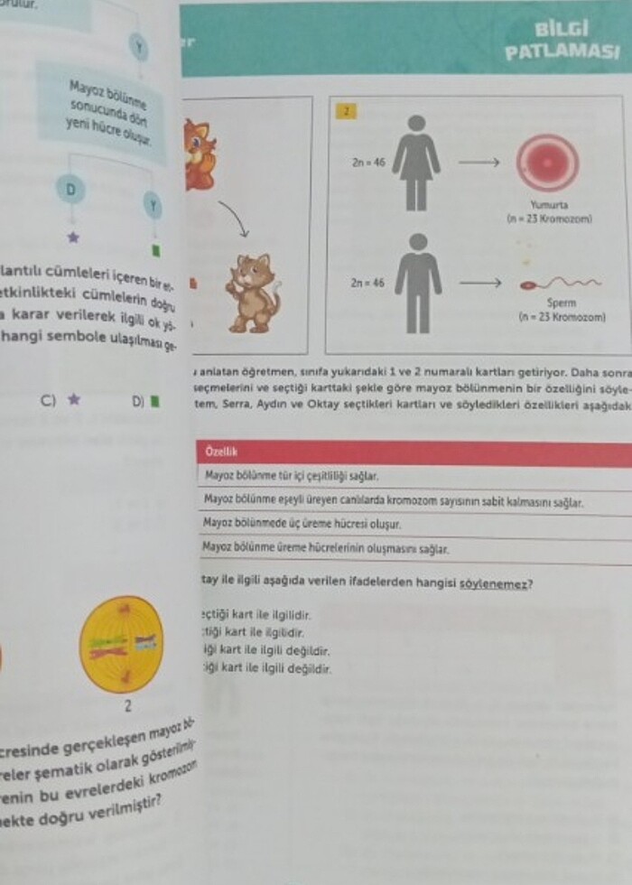 Test kitabı  - Görsel 2